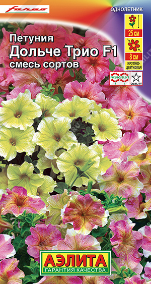 Дольче Трио