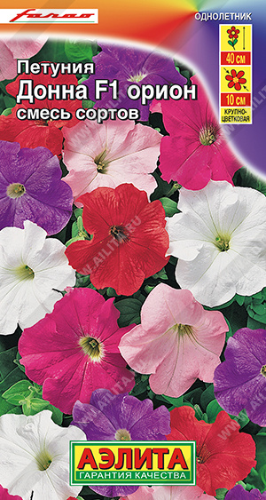 Донна Орион