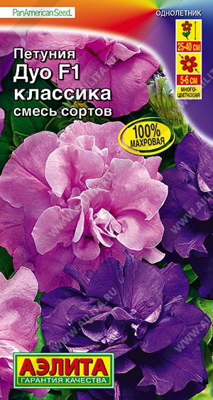 Дуо классика