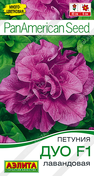 Дуо лавандовая