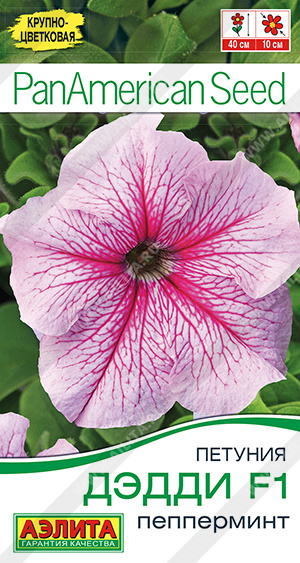 Дэдди пепперминт