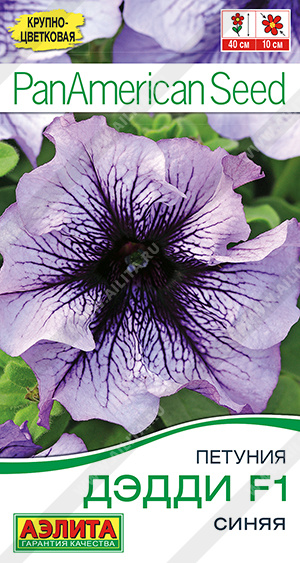 Дэдди синяя