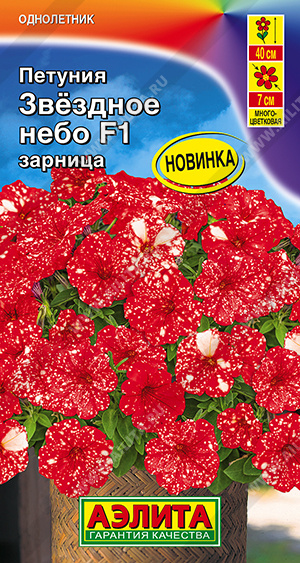 Звездное небо зарница