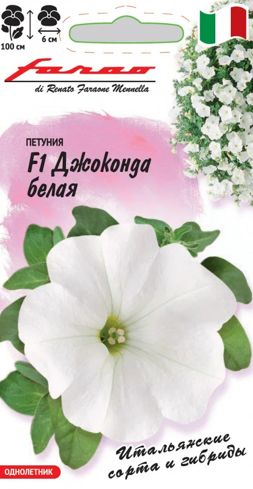 Миниатюра изображения сорта Джоконда белая