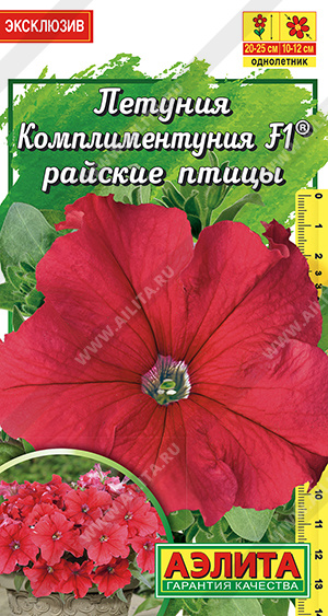 Комплиментуния райские птицы