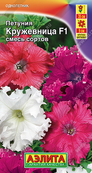 Кружевница 