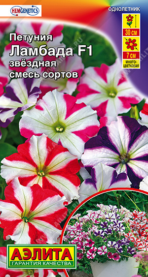 Ламбада звездная