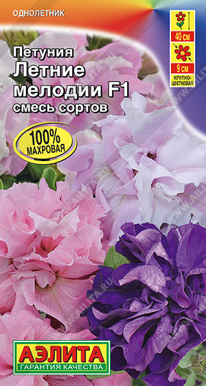 Летние мелодии 