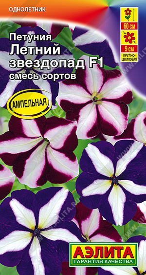 Летний звездопад