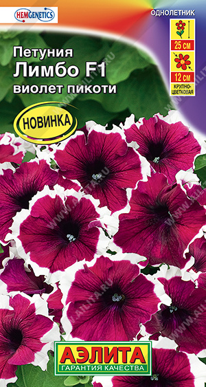 Лимбо виолет пикоти