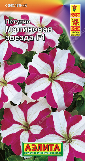 Малиновая звезда