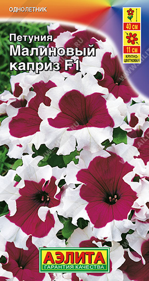 Малиновый каприз