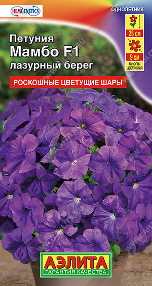 Мамбо лазурный берег