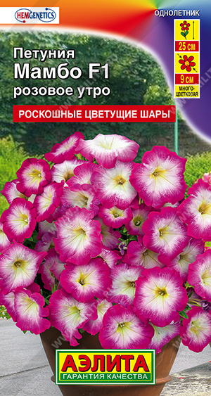 Мамбо розовое утро