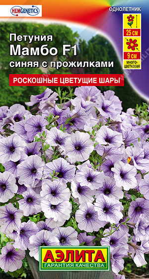 Мамбо синяя с прожилками