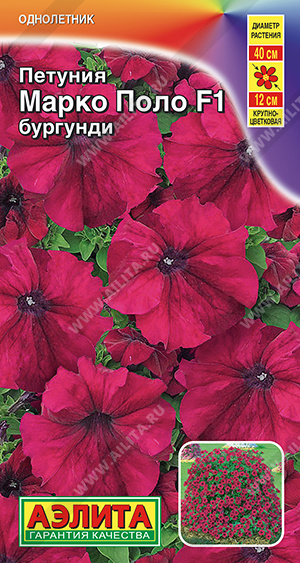 Марко Поло бургунди