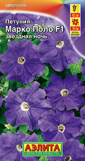 Марко Поло звездная ночь