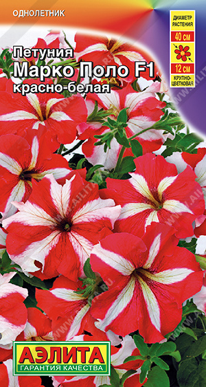 Марко Поло красно-белая