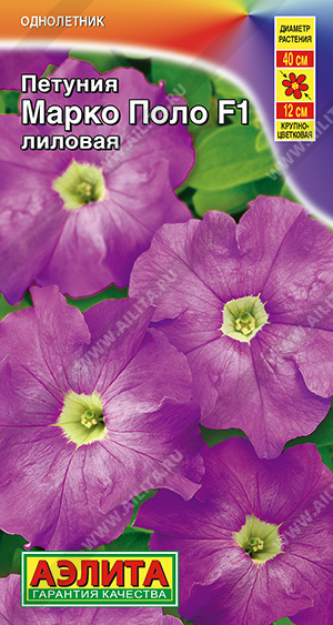 Марко Поло лиловая