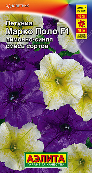 Марко Поло лимонно-синяя