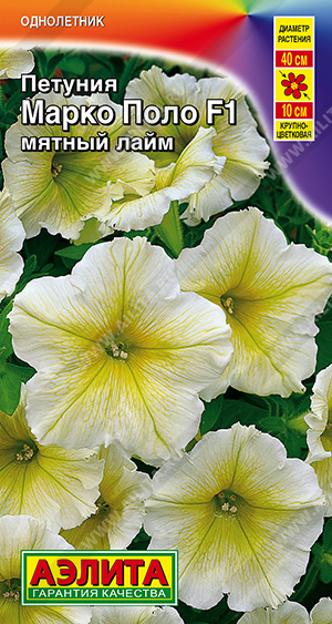 Марко Поло мятный лайм
