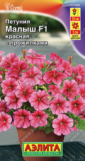 Малыш красная с прожилками