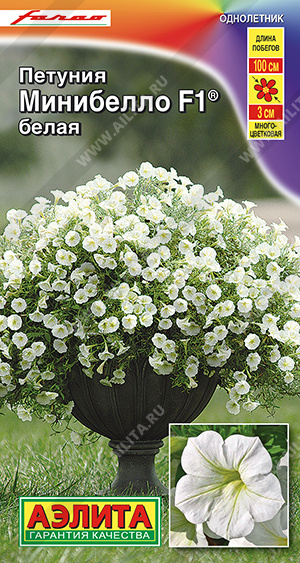 Минибелло белая