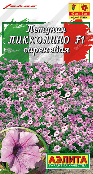 Пикколино сиреневая