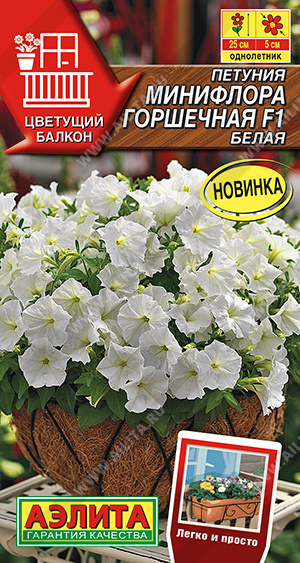 Минифлора горшечная белая
