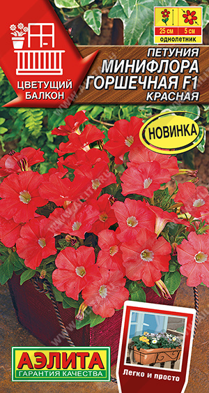 Минифлора горшечная красная