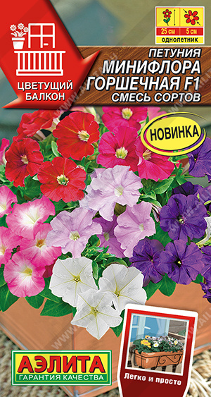 Минифлора горшечная