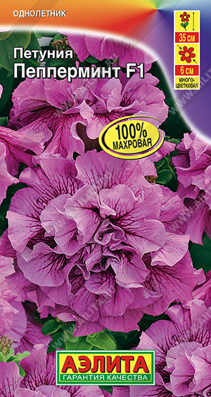 Пепперминт 