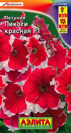 Пикоти красная