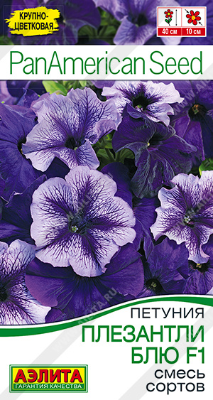 Плезантли Блю