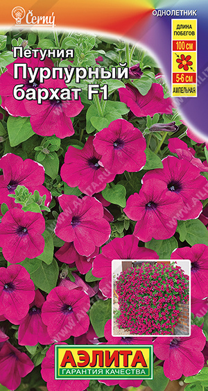 Пурпурный бархат