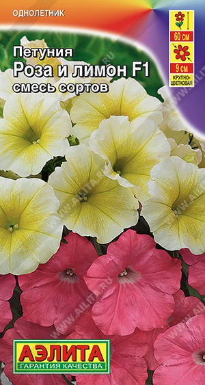 Роза и лимон