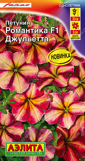 Романтика джульетта