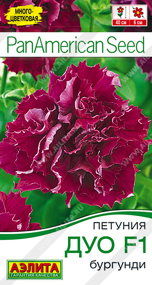 Дуо Бургунди