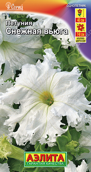 Снежная вьюга 