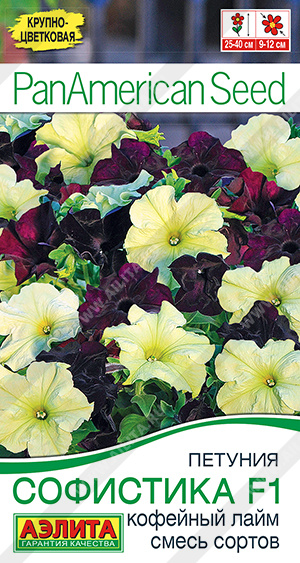 Софистика кофейный лайм