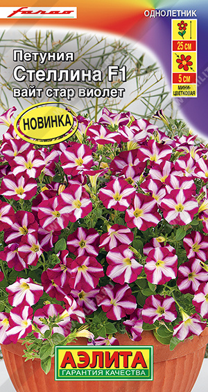 Стеллина вайт стар виолет