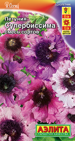 Супербиссима