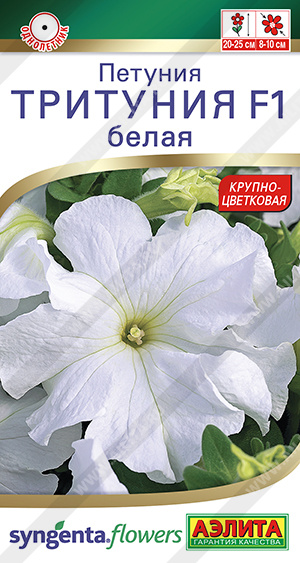 Тритуния белая