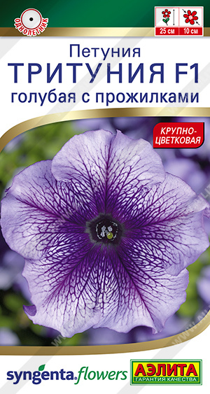 Тритуния голубая с прожилками