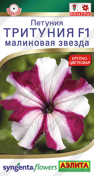 Тритуния малиновая звезда