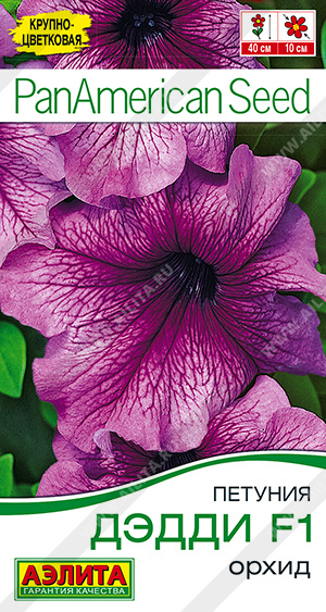 Дэдди Орхид