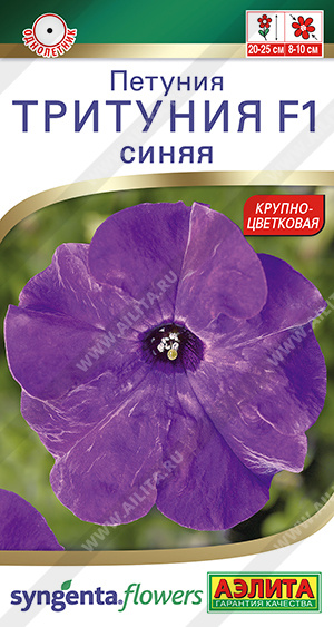 Тритуния синяя