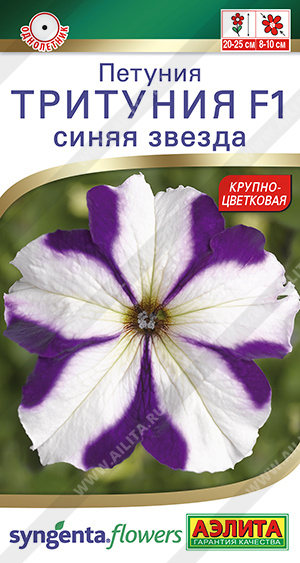 Тритуния синяя звезда