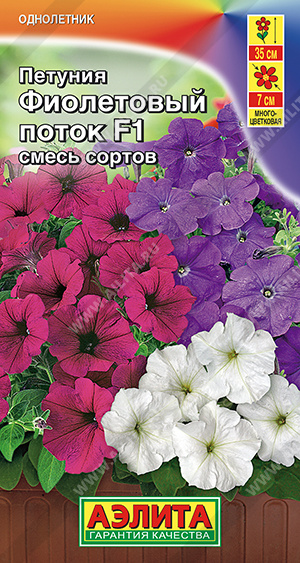 Фиолетовый поток