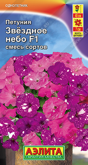 Звездное небо